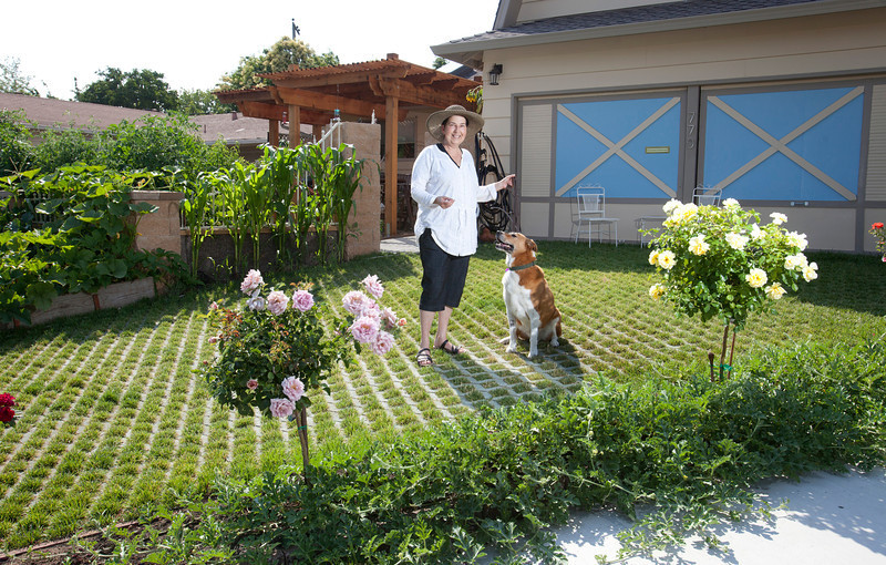 Suburban farming Couple transforms front yard into living driveway San Jose Mercury News