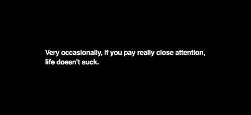 If you pay close attention life doesn't suck.