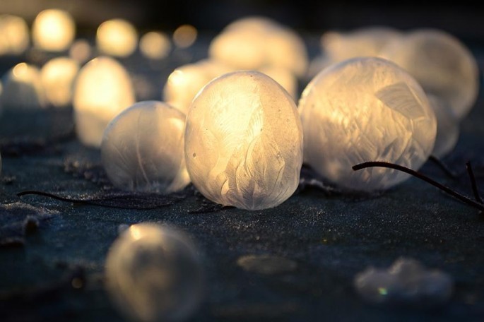 frozen bubbles photos imgur angela kelly bored panda