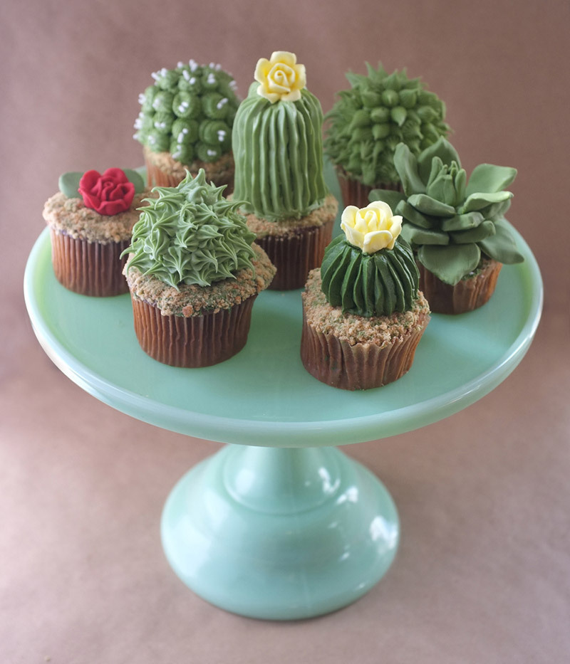 cactus cupcakes meme Imgur