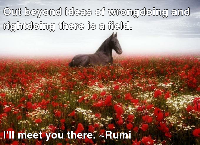 Out beyond ideas of wrongdoing and rightdoing there is a field I ll meet you there Rumi