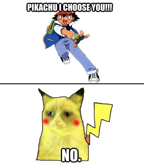 Grumpy Cat Pikachu I choose you No 