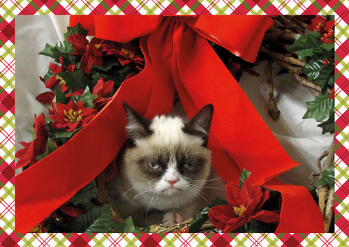 Grumpy Cat Christmas meme